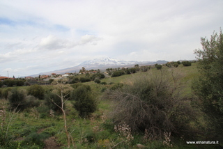 ammena-26-02-2023 13-55-50